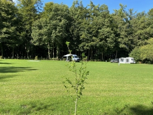 Ruimte in overvloed op minicamping Molenallee in Loenen